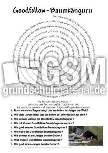 Goodfellow-Baumkänguru.pdf